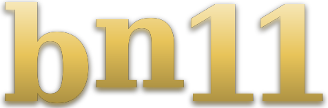 bn11 logo